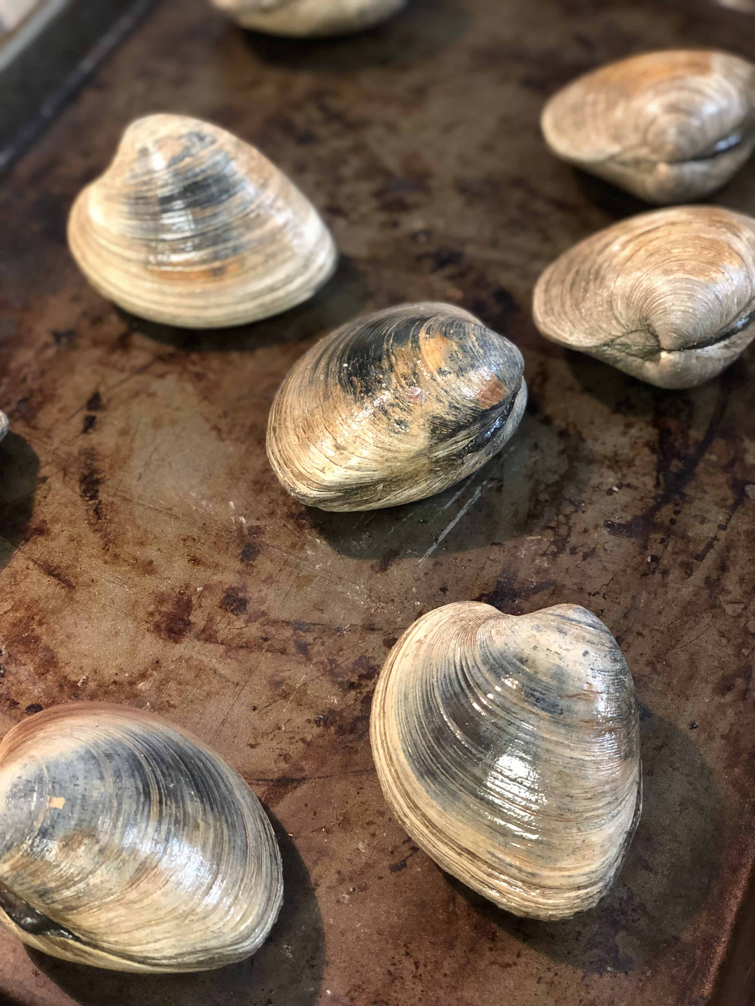 CLAMS OREGANATA APPETIZERS SEAFOOD