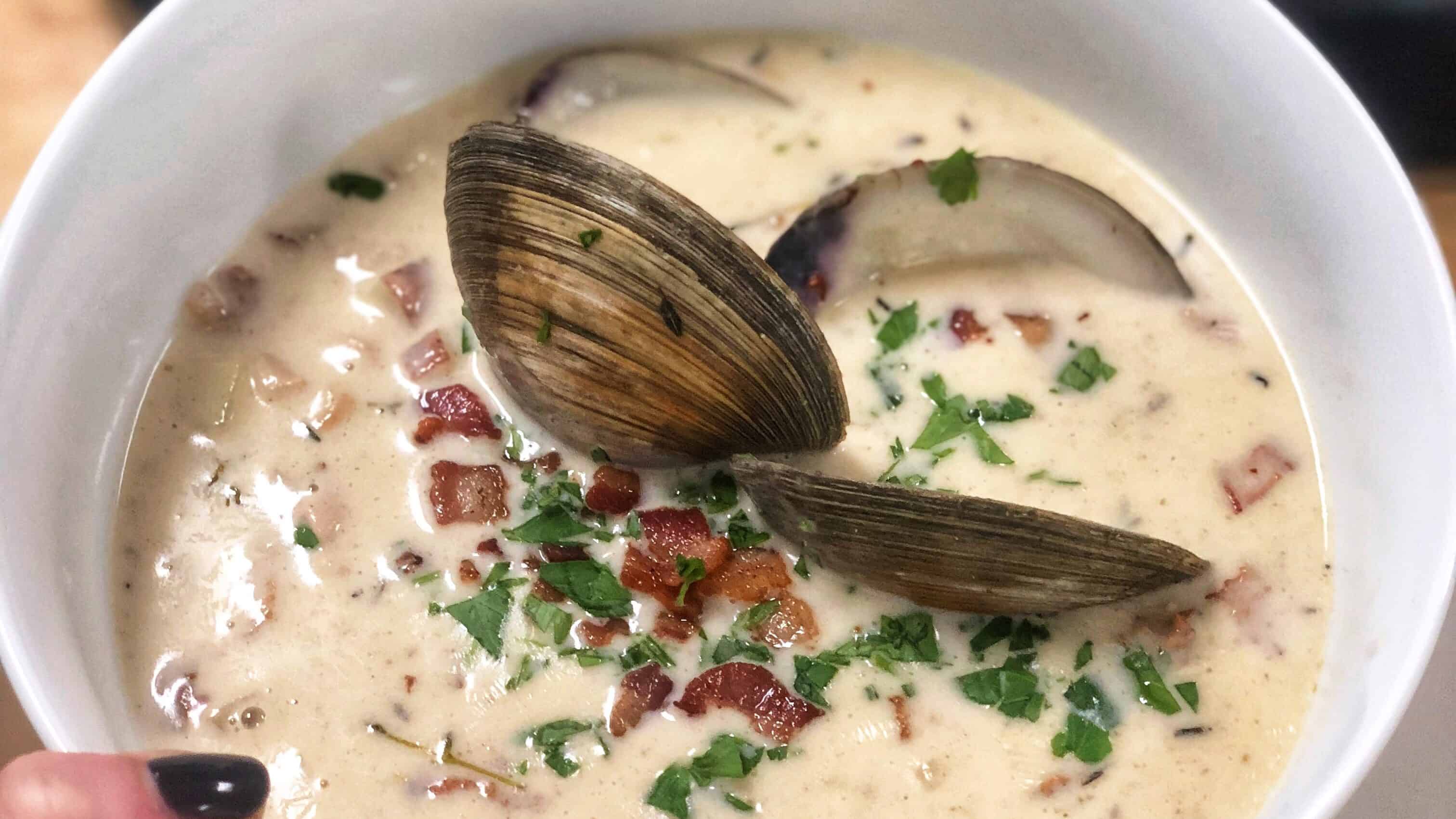 NEW ENGLAND CLAM CHOWDER | SEAFOOD | SOUP