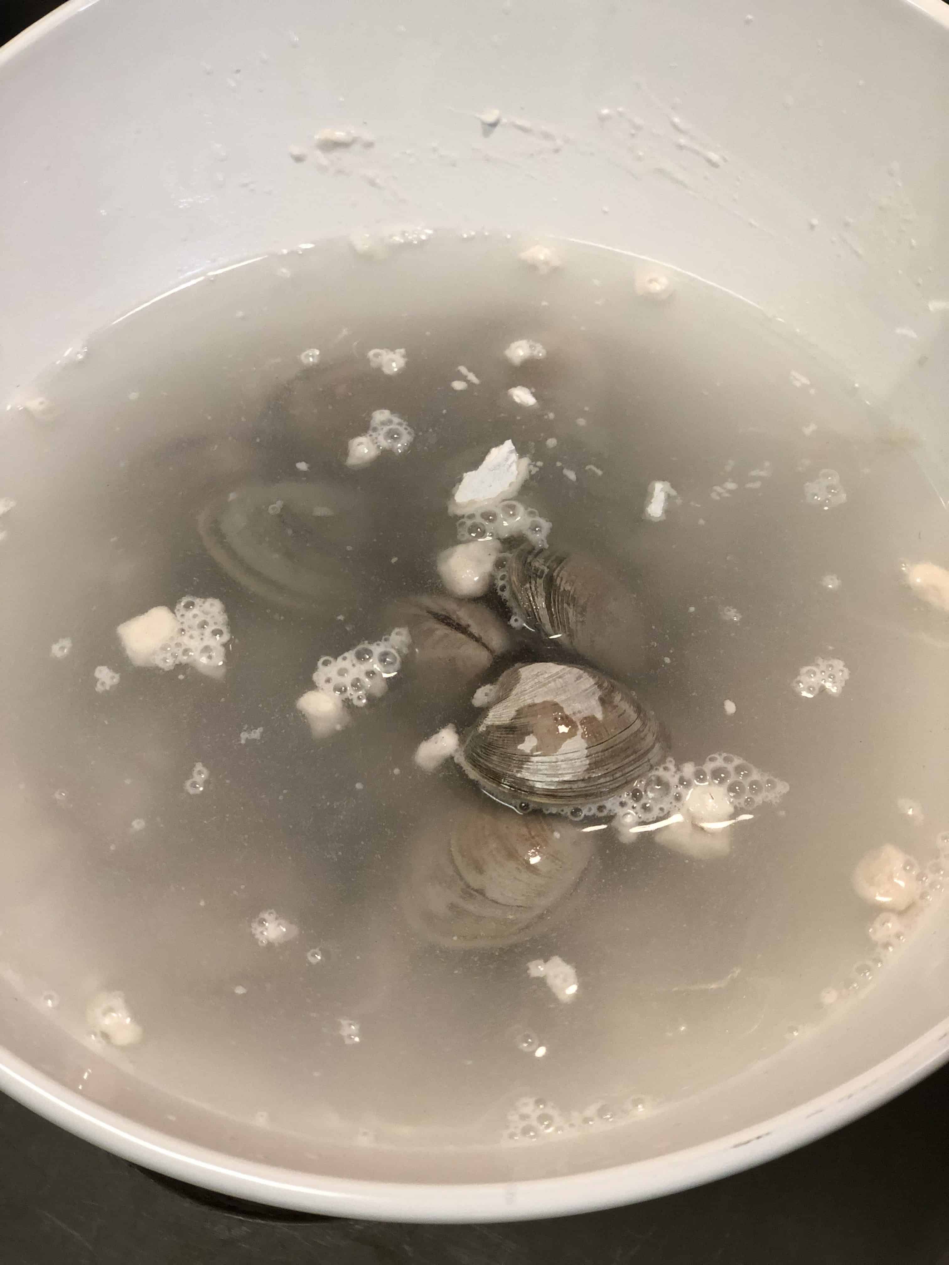 HOW TO CLEAN CLAMS SEAFOOD SHELLFISH HOW TO