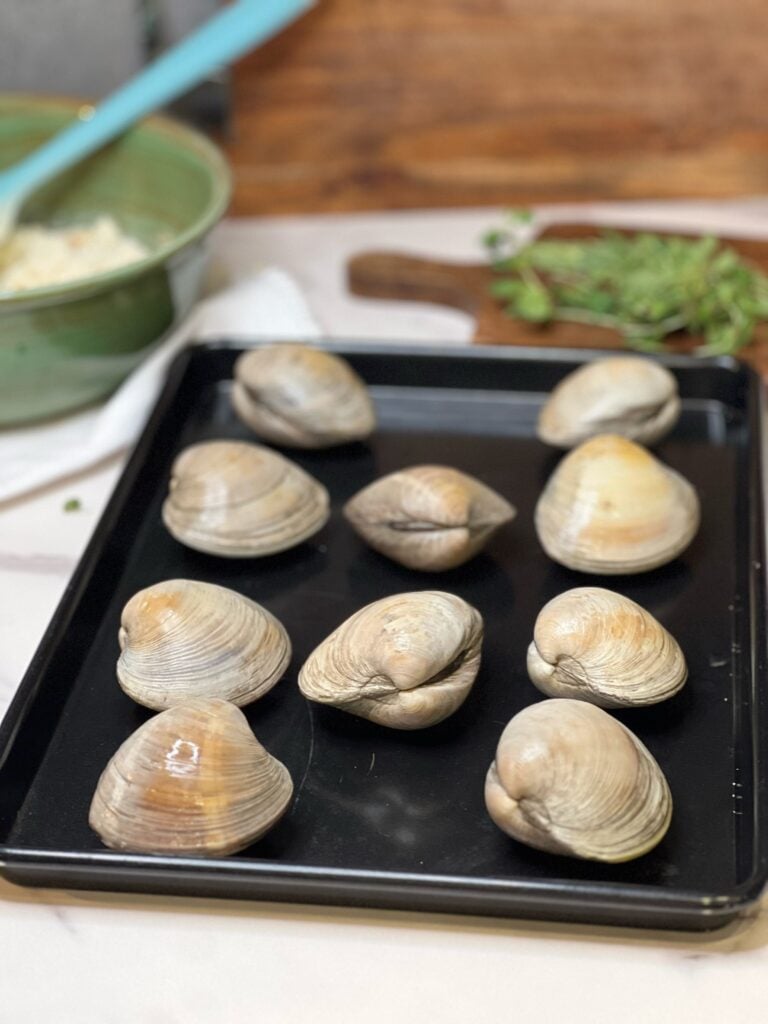 Clams in their shell arranged on a baking sheet.