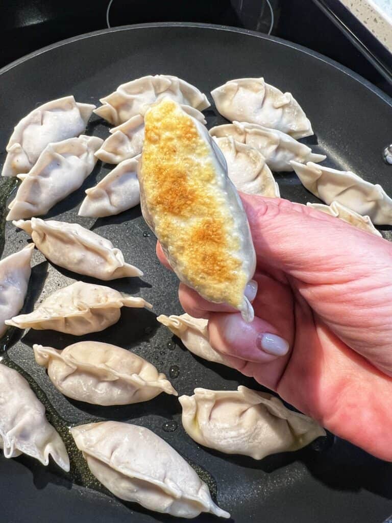 Me holding up the bottom of a browned gyoza.