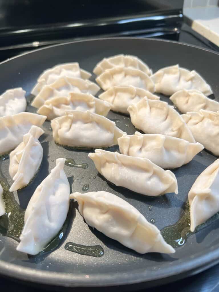 The bottom of gyoza browning in a non-stick pan.