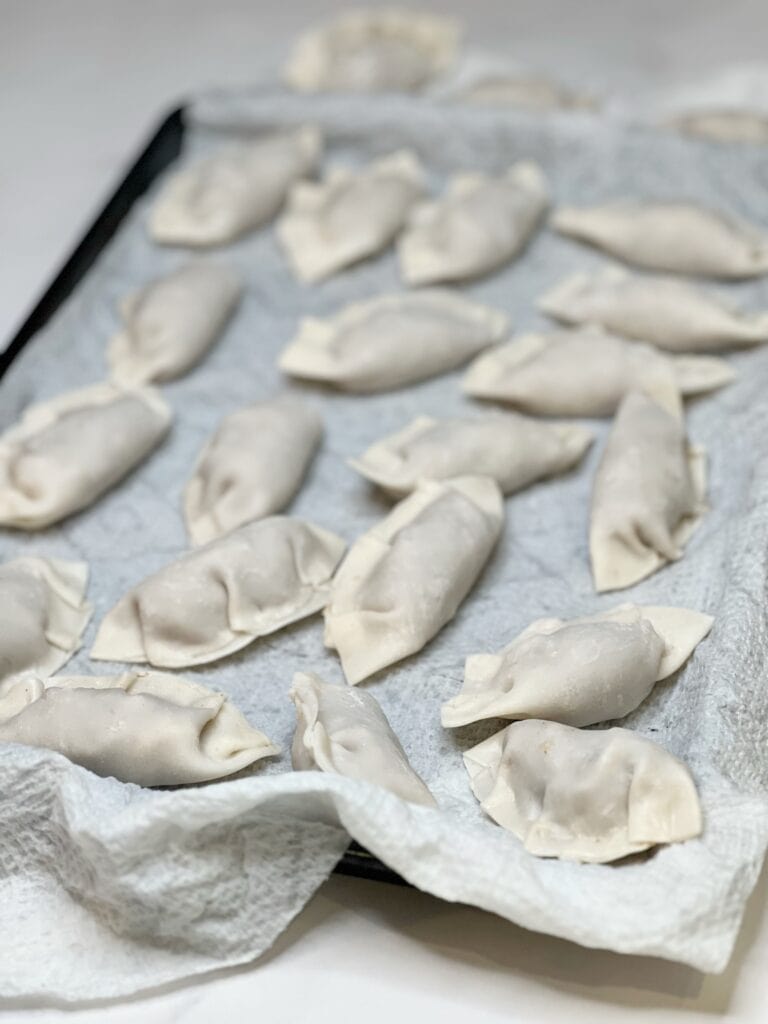 Shrimp and pork gyoza laying a sheet pan lined with a damp paper towel.