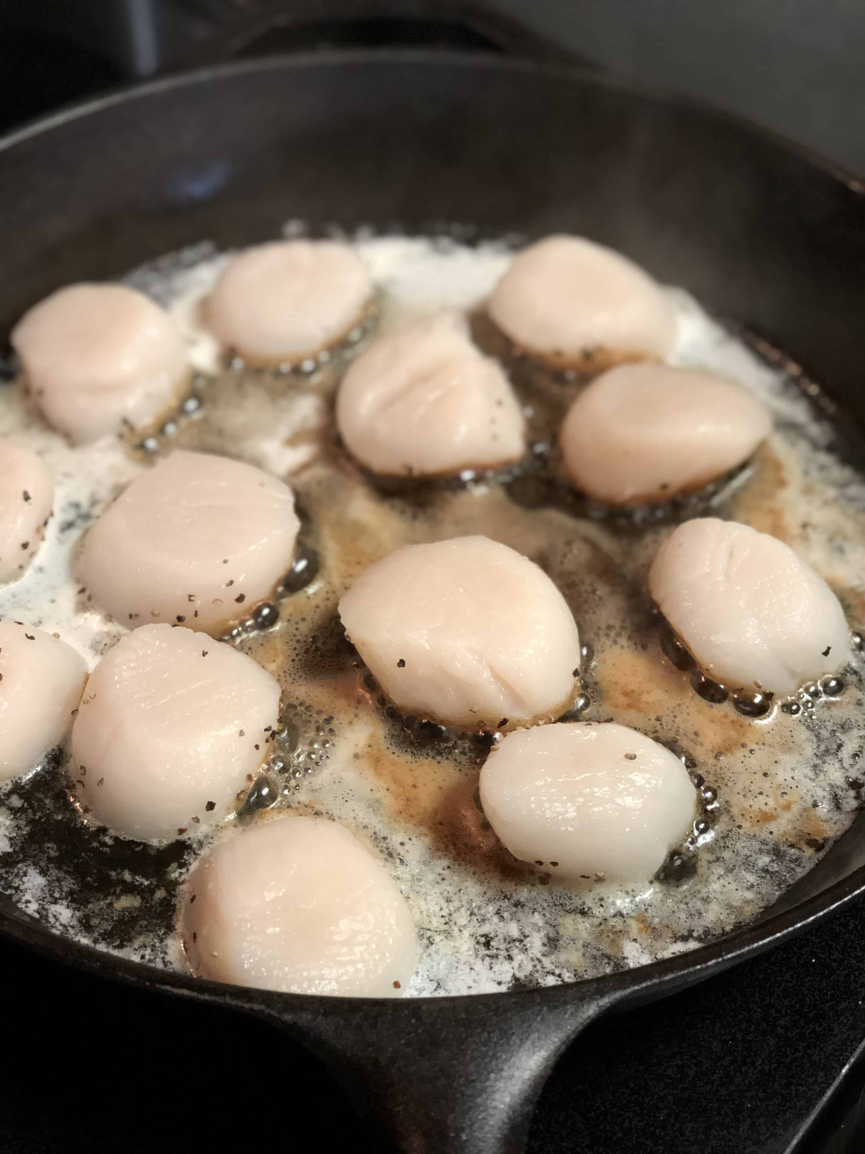 SCALLOPS FLORENTINE PASTA SEAFOOD EASY RECIPE