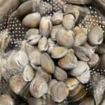 Small clams in a metal colander.