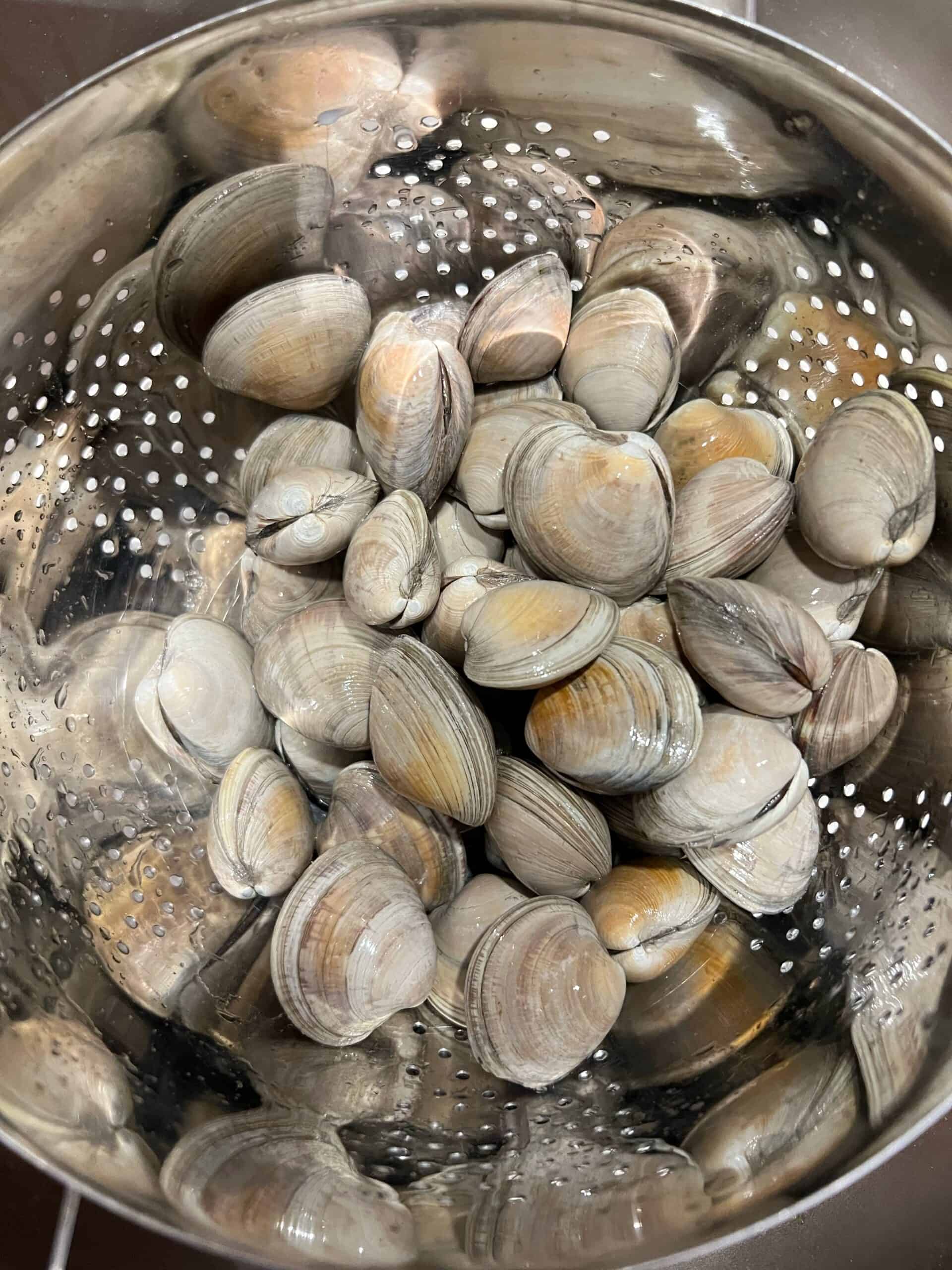 How To Clean Clams | Charlotte Fashion Plate