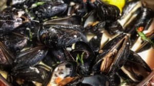 Mussels in a Sambuca Cream Sauce