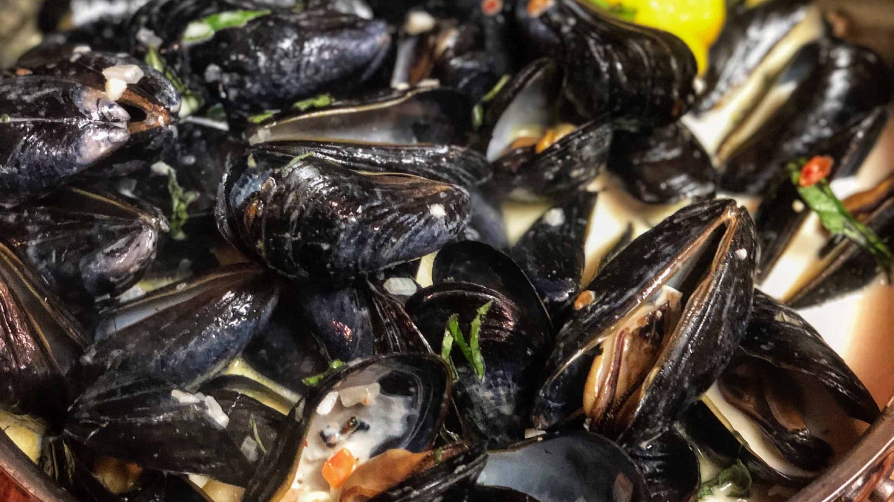 STEAMED MUSSELS IN SAMBUCA APPETIZER SEAFOOD
