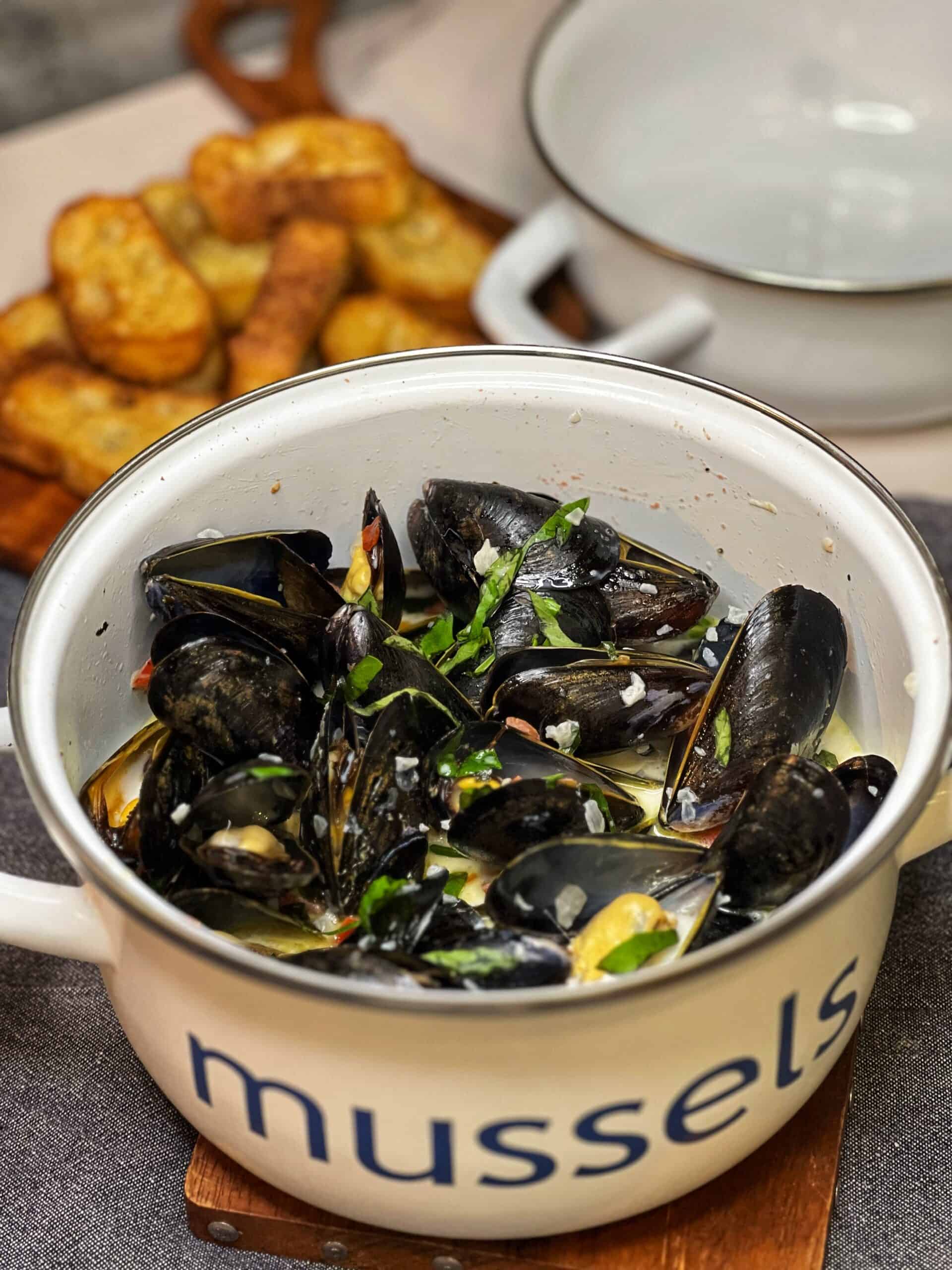 Mussels in Sambuca Cream Sauce | Charlotte Fashion Plate