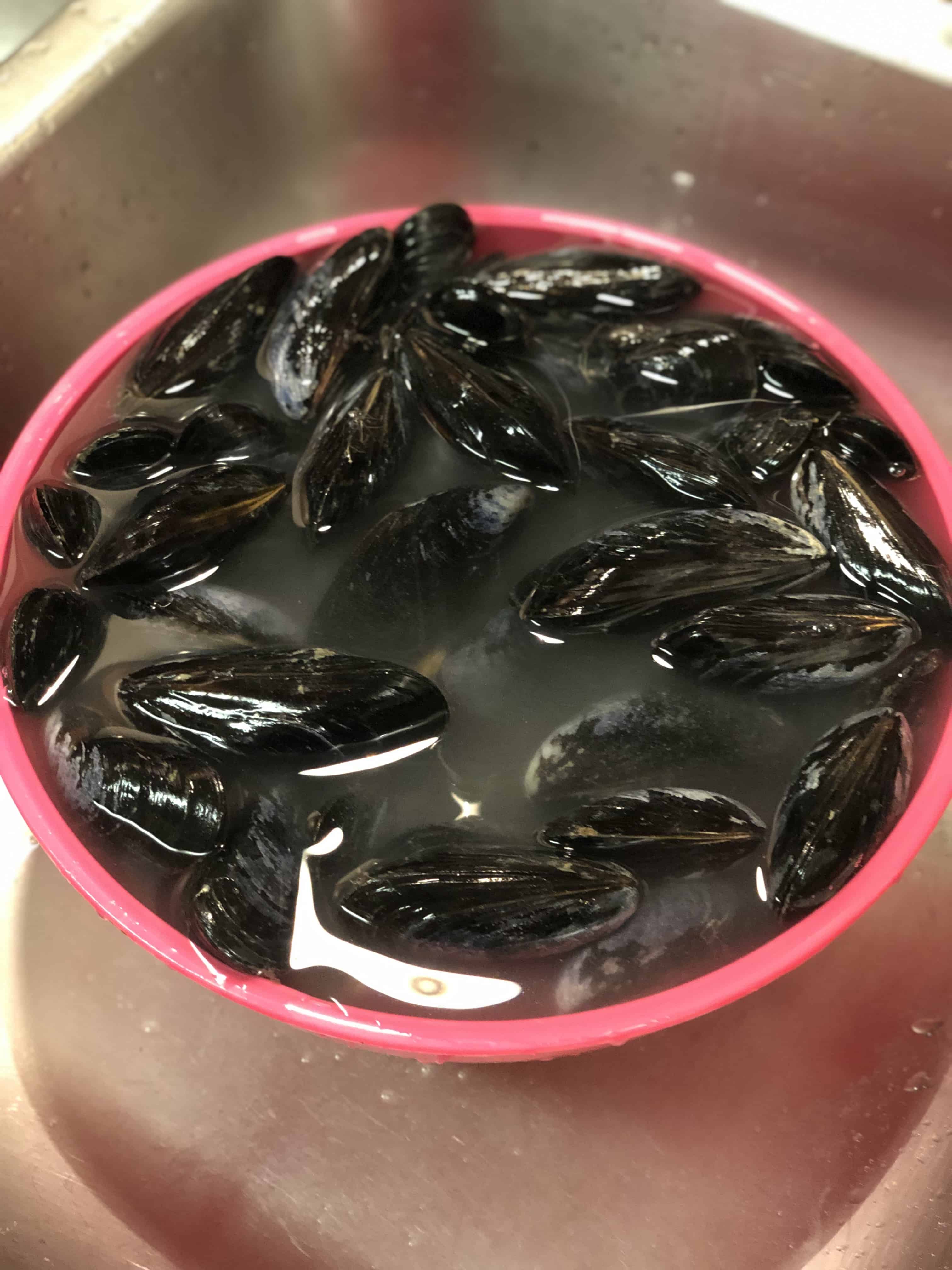 Chilled Mussels with Fresh Tomatoes Charlotte Fashion Plate