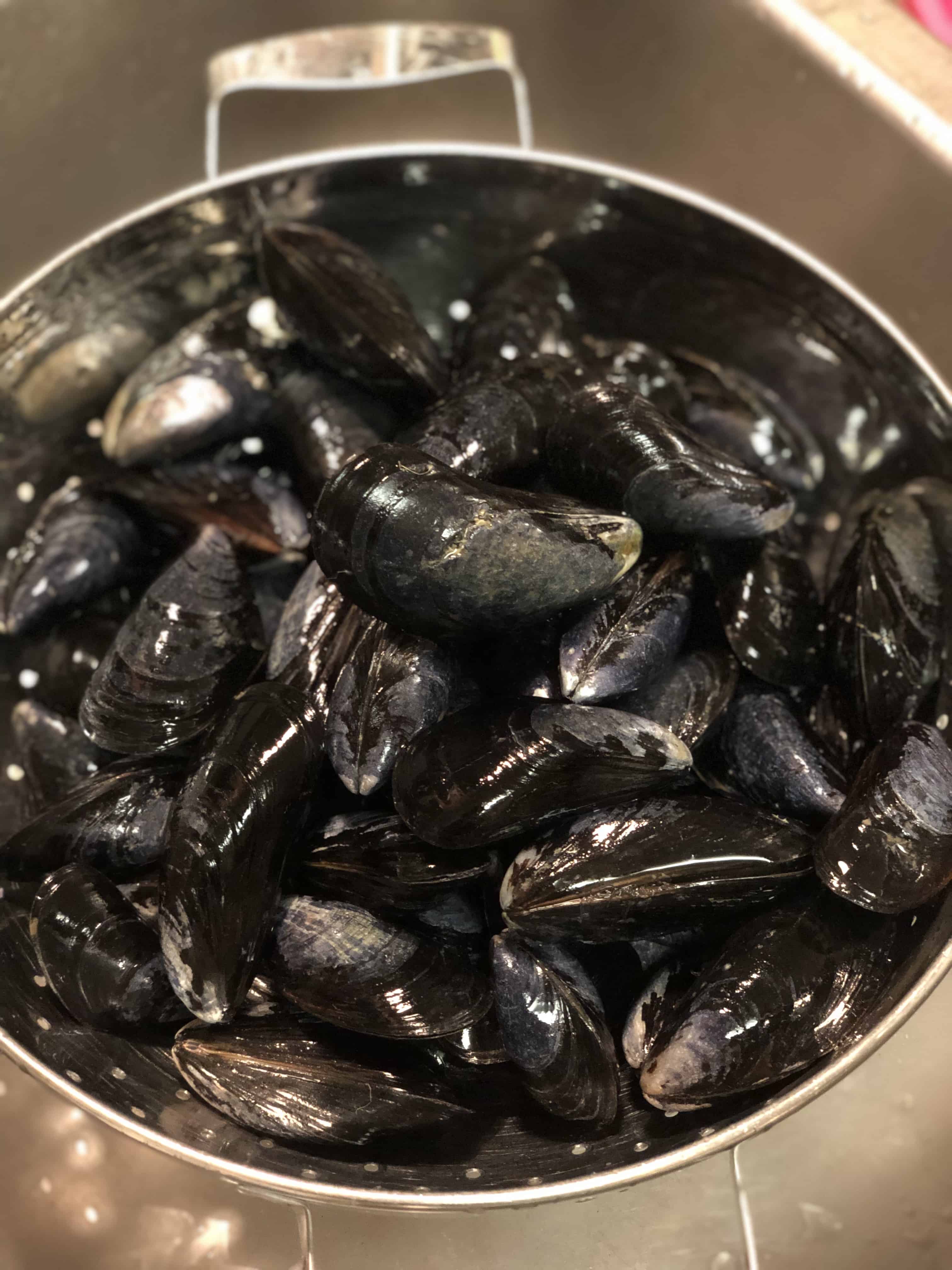 MUSSELS MARINARA APPETIZER SEAFOOD EASY RECIPE