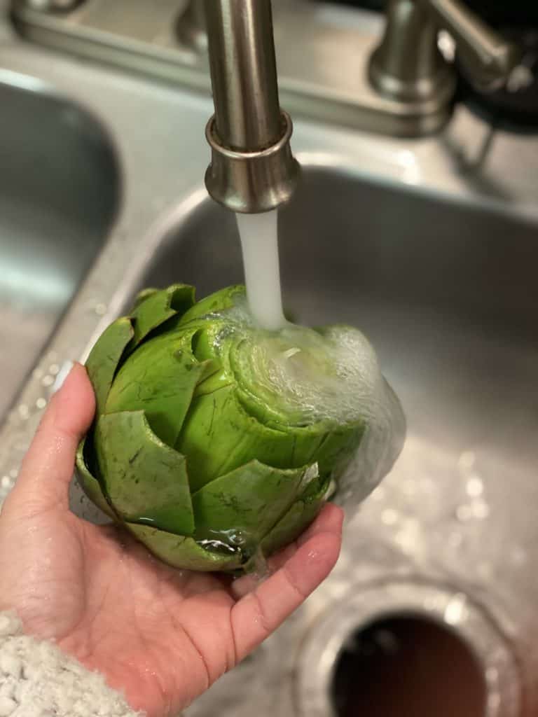 rinsing an artichoke