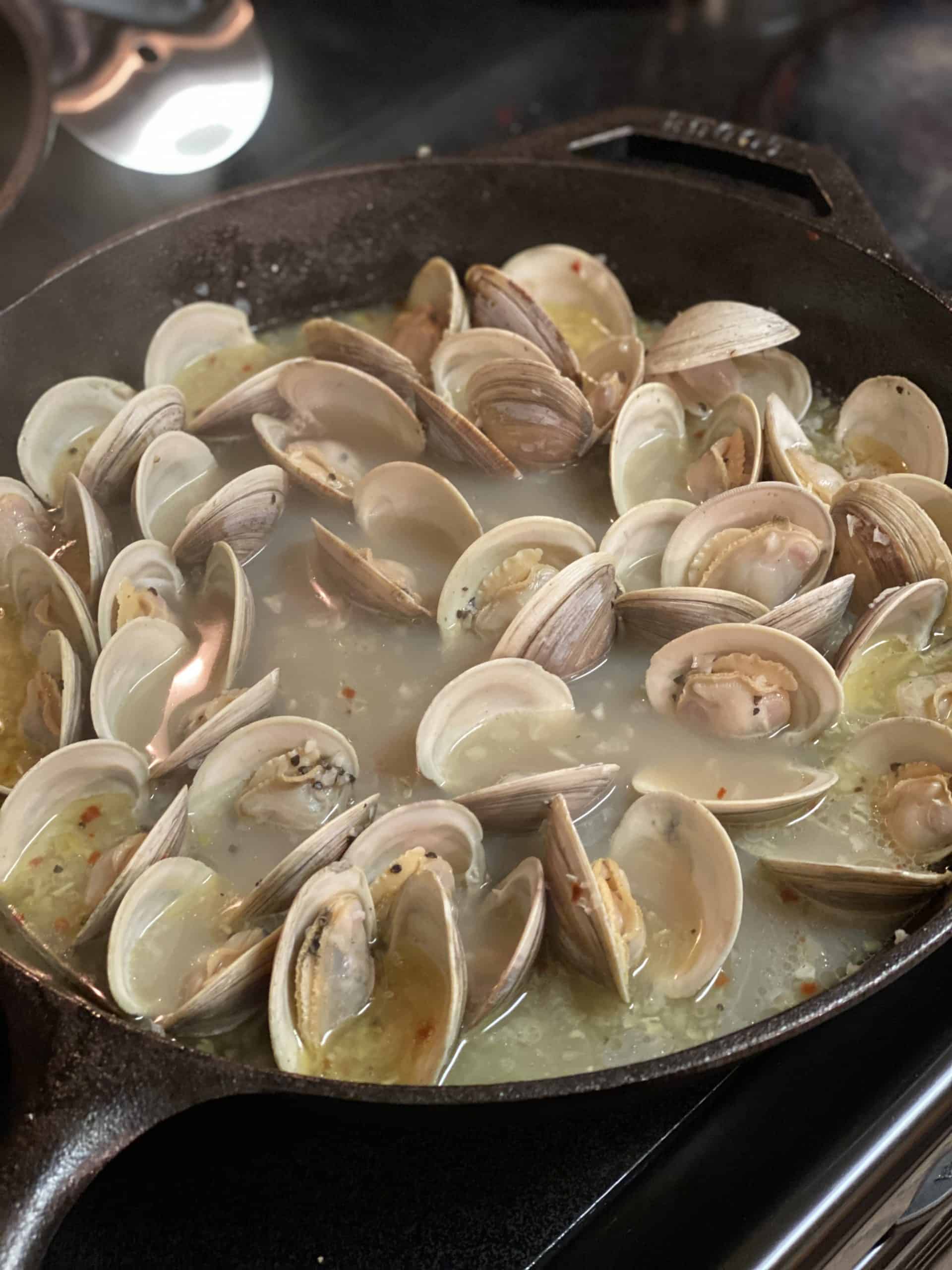 BUTTER GARLIC STEAMED CLAMS APPETIZER FRESH FOOD