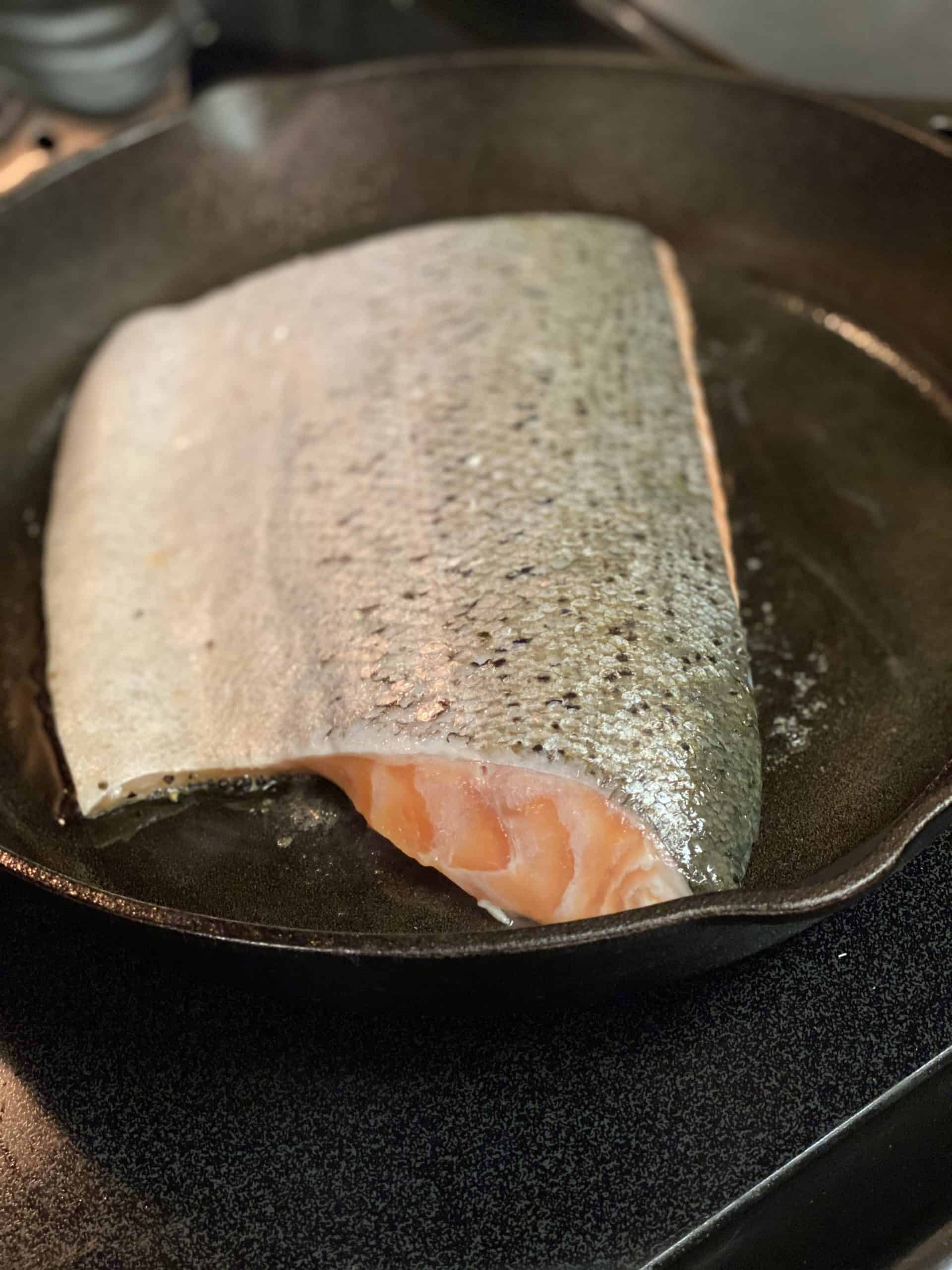 SALMON IN A COCONUT CREAM SAUCE FISH DINNER