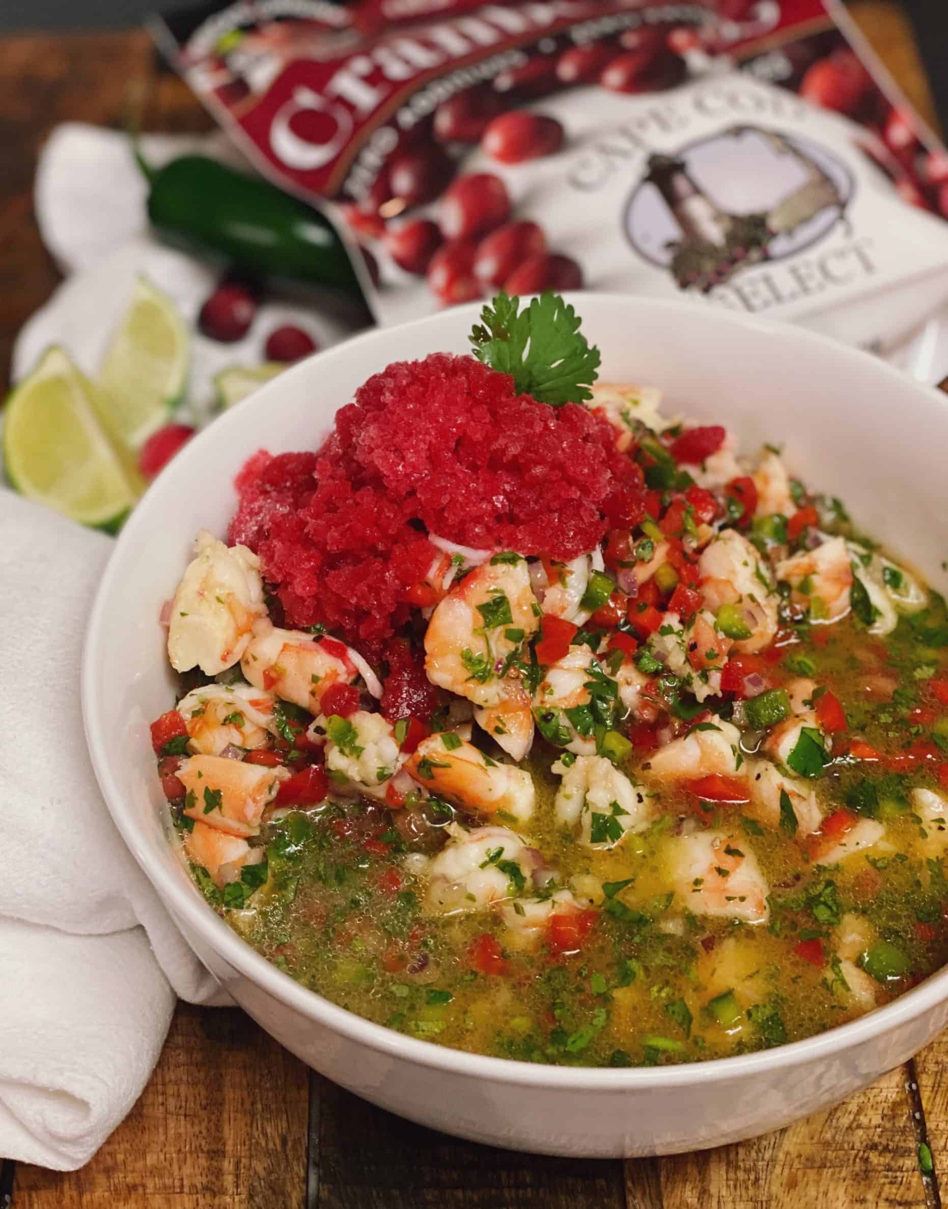 CEVICHE WITH CRANBERRY GRANITA | APPETIZERS