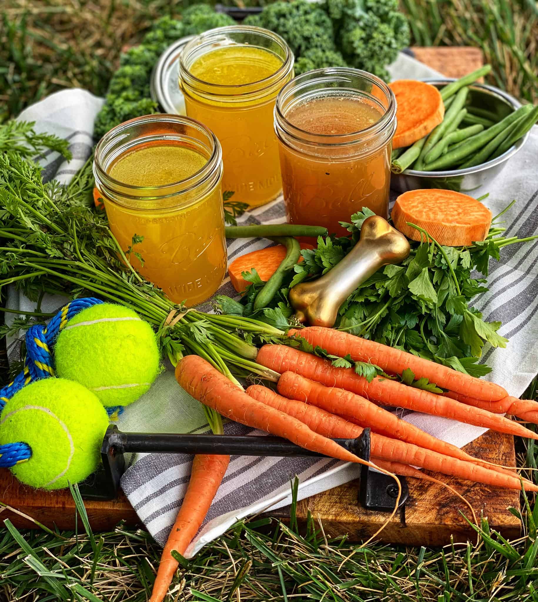 PET BONE BROTH DOGS IMMUNE BOOSTER