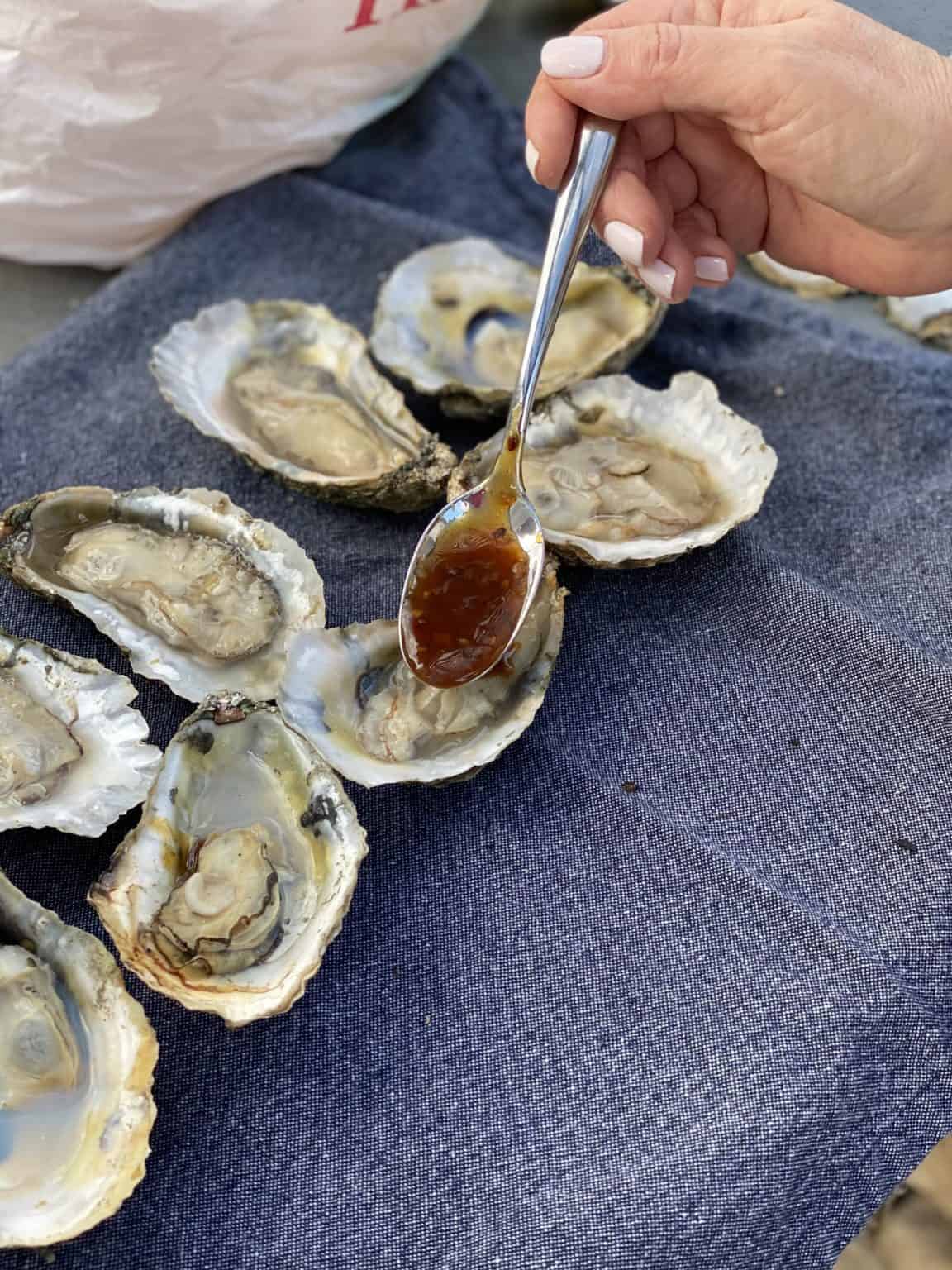 KOREAN BBQ GRILLED OYSTERS APPETIZER EASY RECIPE