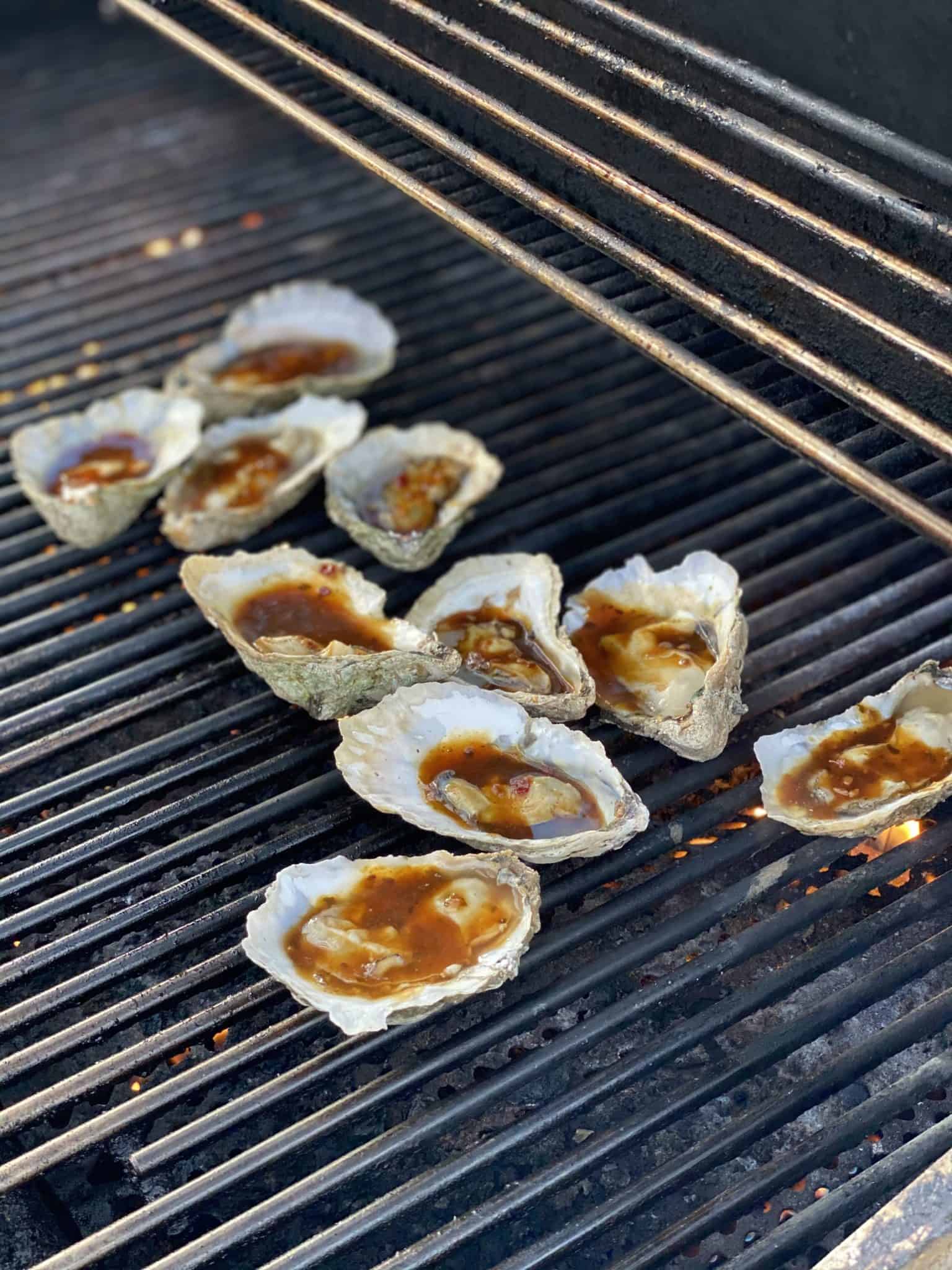 KOREAN BBQ GRILLED OYSTERS APPETIZER EASY RECIPE