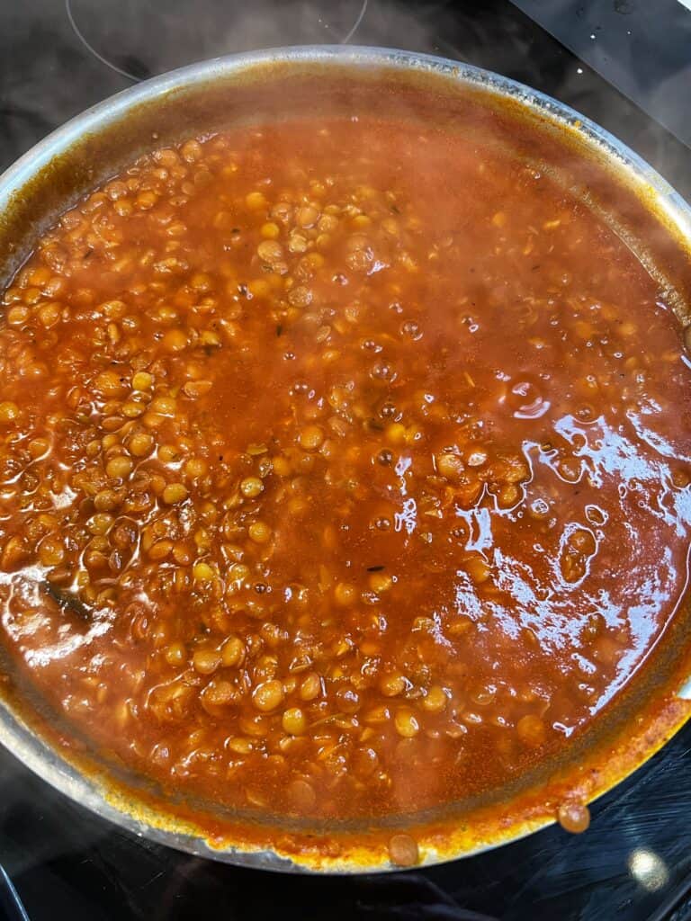 A stainless steel pan of tomato braised lentils.