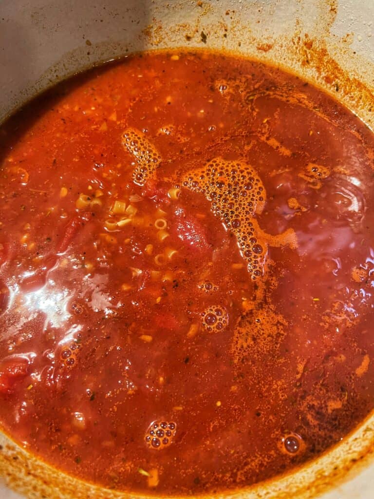 Ditalini added to simmered soup base.