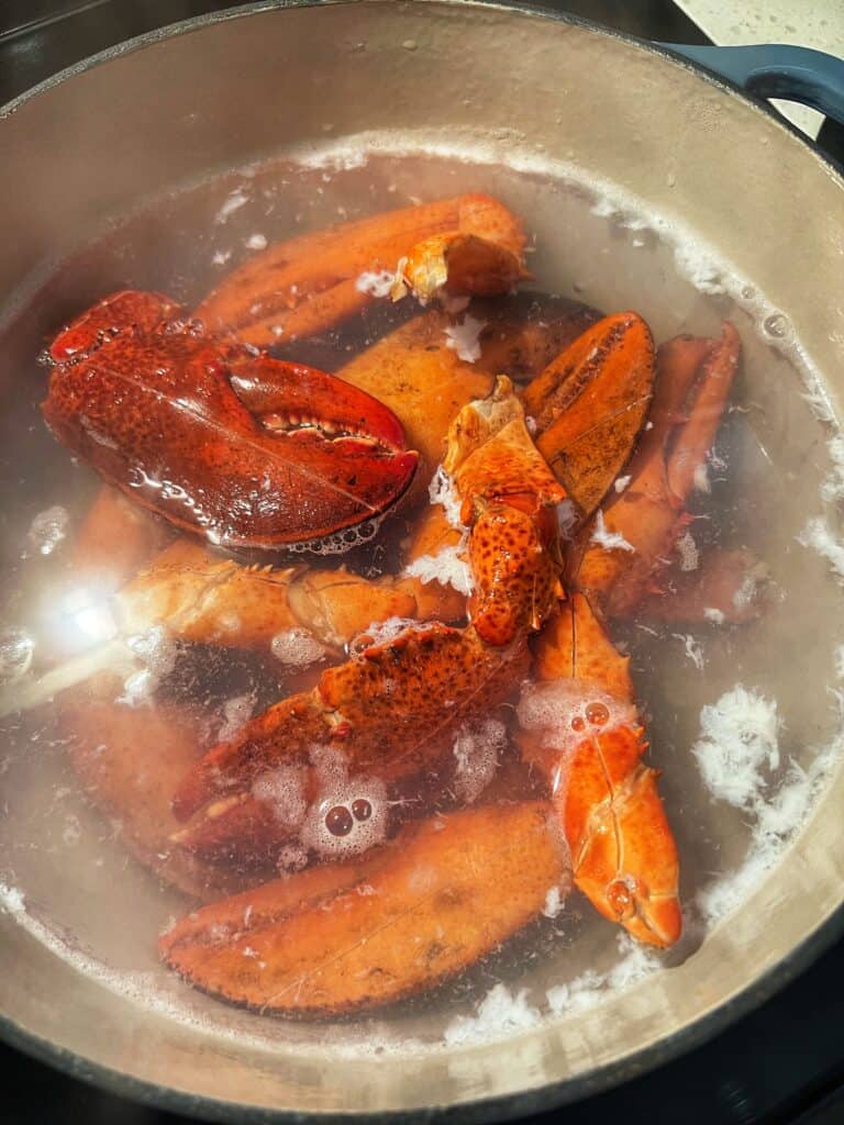 Heating cooked lobster claws in a pot of salted water.