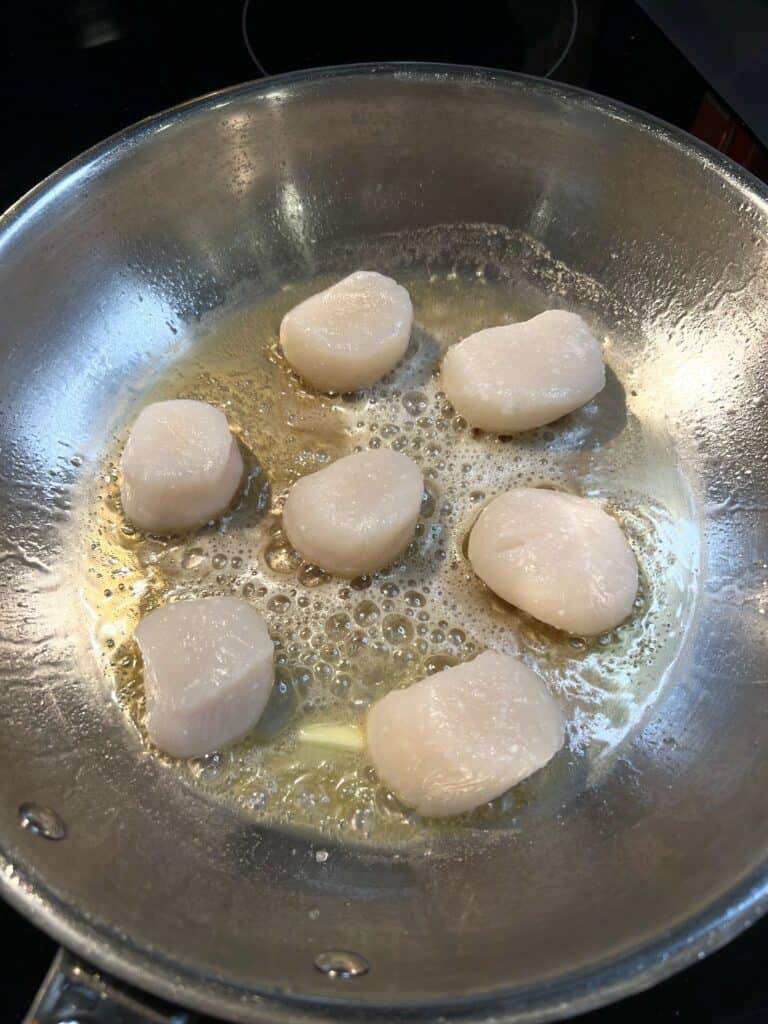Seven scallops searing in olive oil in a stainless steel pan.