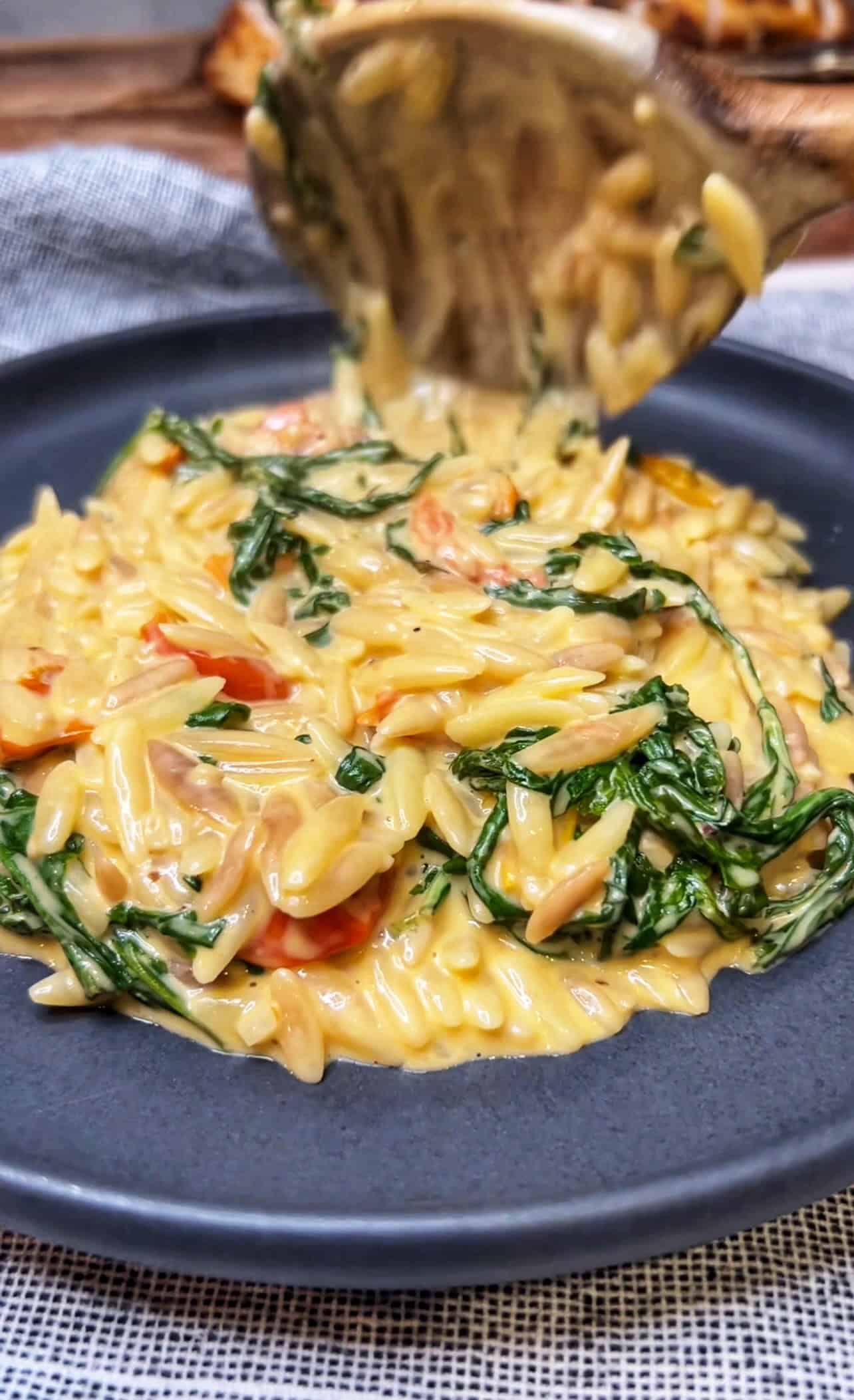 Creamy Tomato Orzo Pasta | Charlotte Fashion Plate
