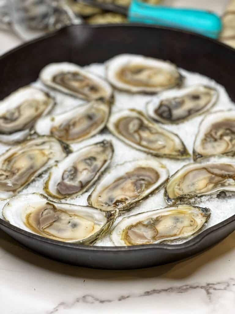 Twelve shucked oysters sitting in a cast iron pan filled with rock salt.