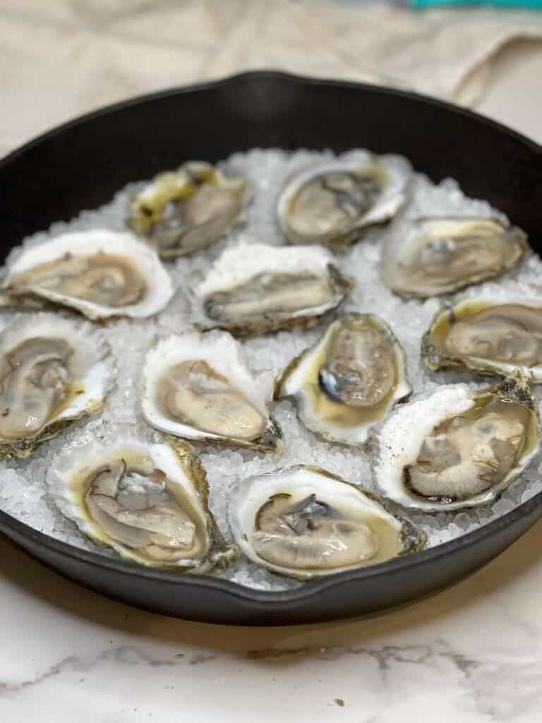 Twelve shucked oysters laying in a bed of rock salt in a cast iron pan.