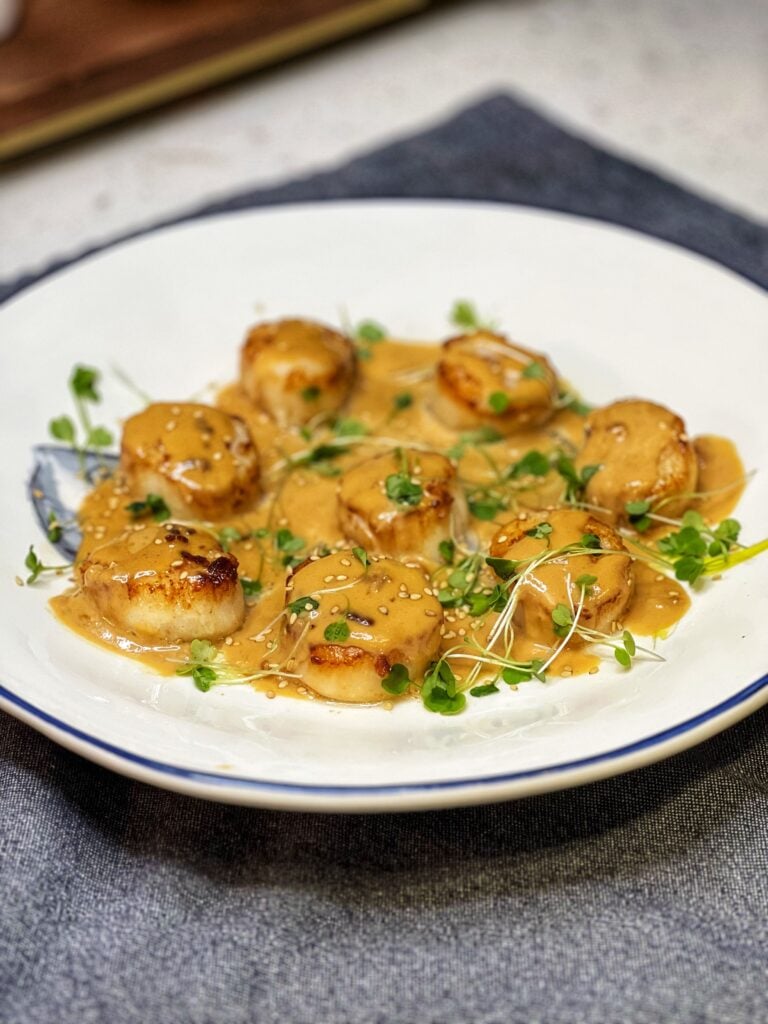 A white plate of seared scallops covered in miso cream sauce and garnished with microgreens and sesame seeds.