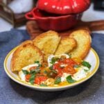 A bowl of roasted tomato burrata dip. The burrata cheese is covered in roasted tomatoes in olive oil and garnished with fresh basil. Toasted bread is also served in the bowl.